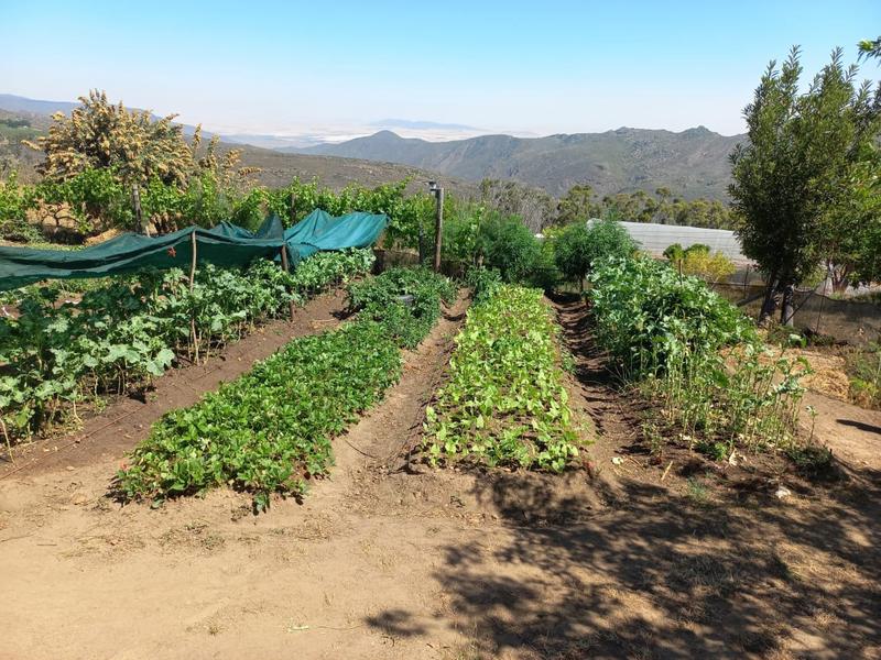 4 Bedroom Property for Sale in Piketberg Rural Western Cape